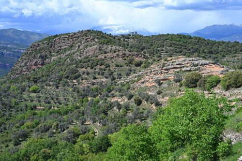 Près d'Hortoneda