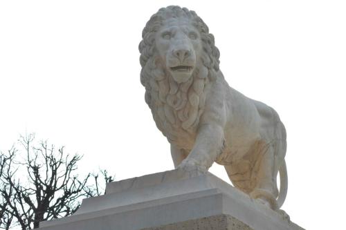 Jardin des Tuileries