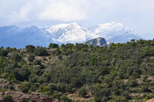 Près d'Hortoneda
