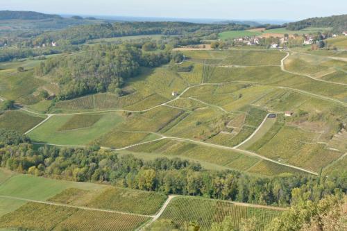 Menétru-le-vignoble depuis Château-Chalon
