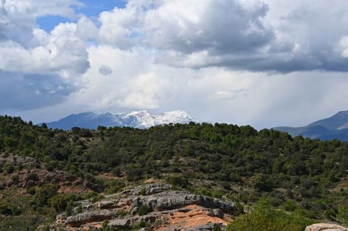Près d'Hortoneda