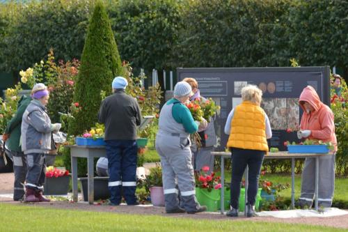 Peterhof (Résidence d'été impériale de Pierre 1er)