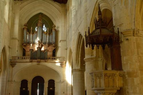 Cathédrale Saint-Pierre (Saintes)