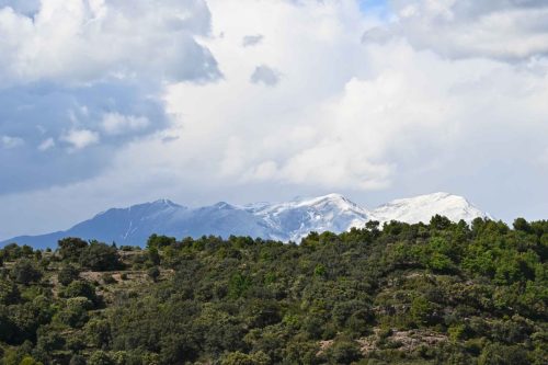 Près d'Hortoneda