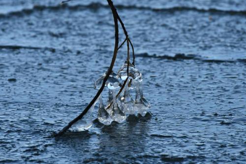 Glace étang de Saint-Quentin en Yvelines 13 février 2021