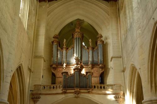 Cathédrale Saint-Pierre (Saintes)