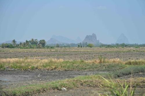 Rizières Amphoe Mueang Phetchaburi