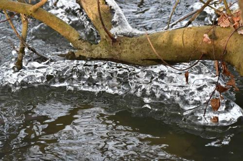 Glace étang de Saint-Quentin en Yvelines 13 février 2021