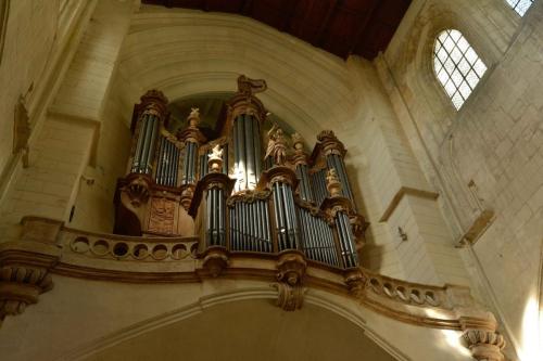 Cathédrale Saint-Pierre (Saintes)