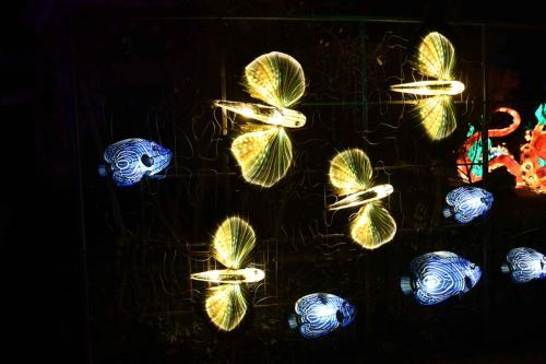 Banc de poissons