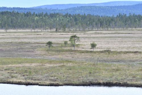 Delta de Ivalojoki depuis l'observatoire