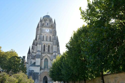 Cathédrale Saint-Pierre (Saintes)