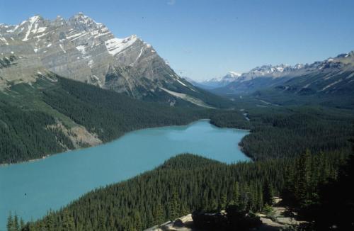 Lac Peyto