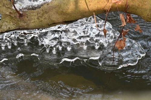 Glace étang de Saint-Quentin en Yvelines 13 février 2021