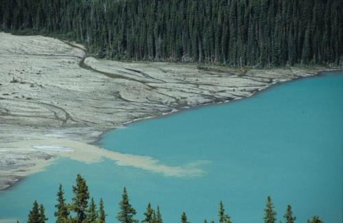 Lac Peyto