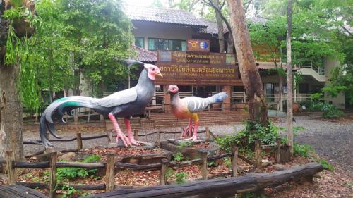 Sakaerat Biosphere Reserve