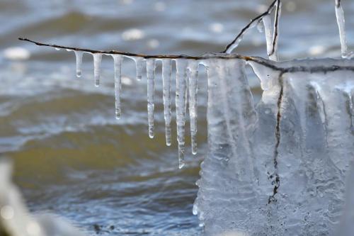 Glace étang de Saint-Quentin en Yvelines 13 février 2021
