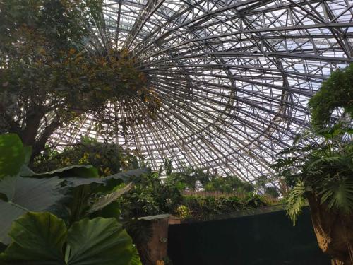 Dôme tropical