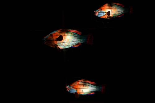 Banc de poissons