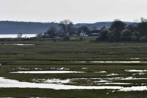 Réserve de Nyord Enge