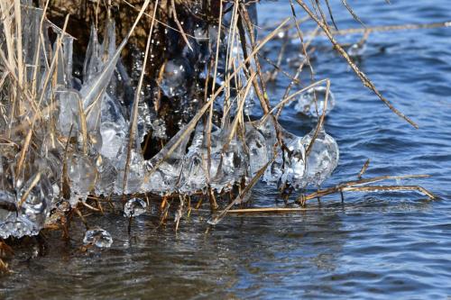 Glace étang de Saint-Quentin en Yvelines 13 février 2021
