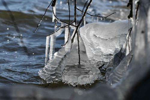 Glace étang de Saint-Quentin en Yvelines 13 février 2021