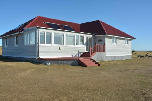 Notre hébergement à Bleaker island