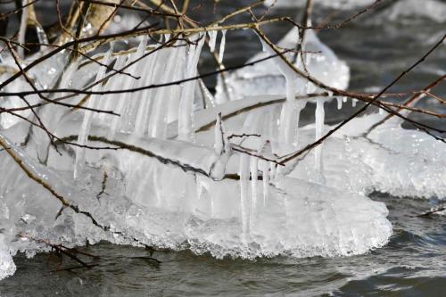 Glace étang de Saint-Quentin en Yvelines 13 février 2021