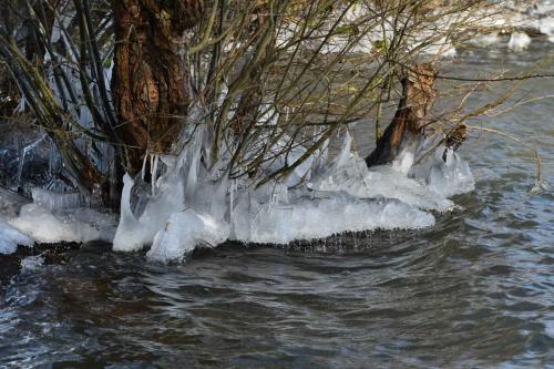 Glace étang de Saint-Quentin en Yvelines 13 février 2021