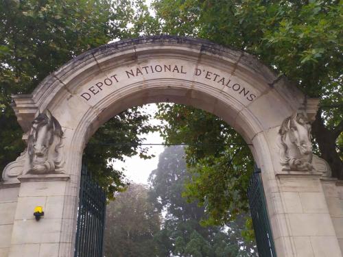 Haras de Montier en Der