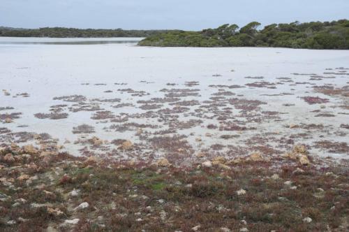 Parc national de Coorong