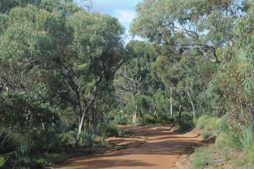 Piste dans le parc national de Flinders Chase