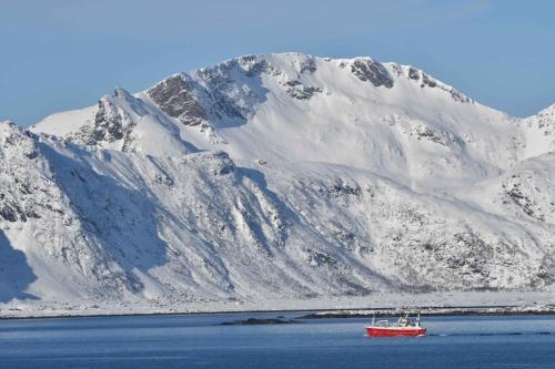 Iles Lofoten