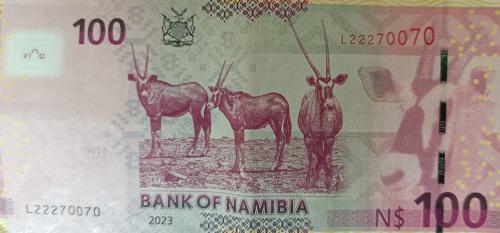 100 namibian dollar