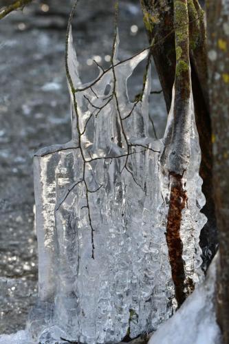 Glace étang de Saint-Quentin en Yvelines 13 février 2021