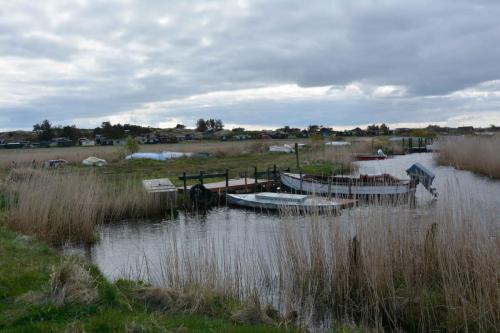 Réserve de Tipperne