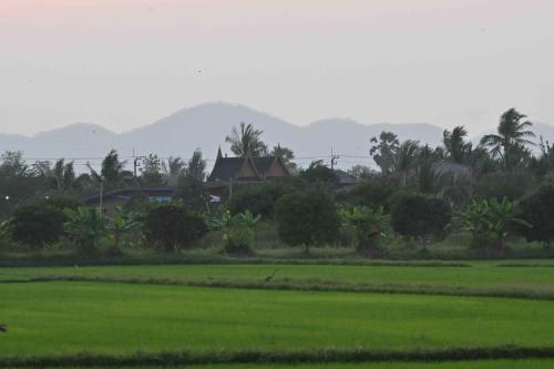 Rizières à Phetchaburi