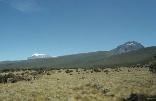 Tanzanie - Mont Kilimandjaro