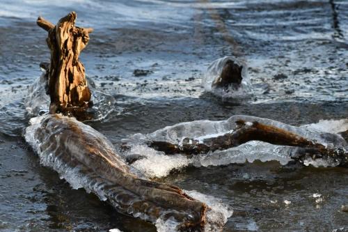 Glace étang de Saint-Quentin en Yvelines 13 février 2021