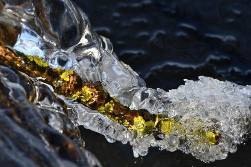 Glace étang de Saint-Quentin en Yvelines 13 février 2021