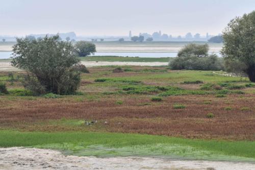 Vue sur le lac depuis le port de Nuisement