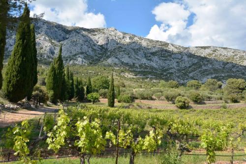Domaine Saint Ser à Puyloubier
