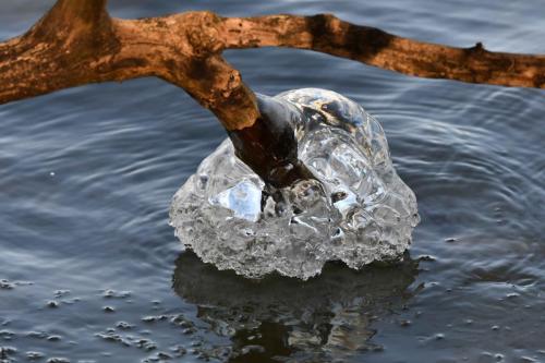 Glace étang de Saint-Quentin en Yvelines 13 février 2021