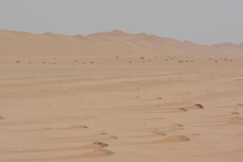Dunes entre Walvis bay et Swakopmund