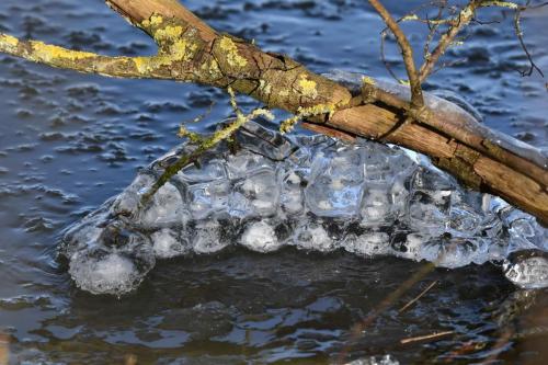Glace étang de Saint-Quentin en Yvelines 13 février 2021