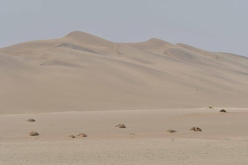 Dunes entre Walvis bay et Swakopmund