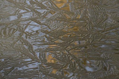 Glace étang de Saint-Quentin en Yvelines 13 février 2021