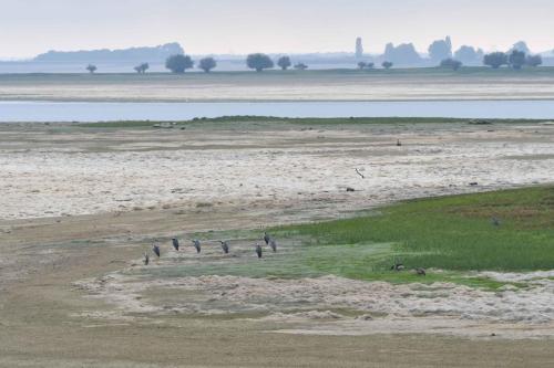 Vue sur le lac depuis le port de Nuisement