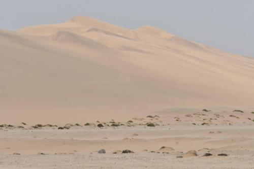 Dunes entre Walvis bay et Swakopmund