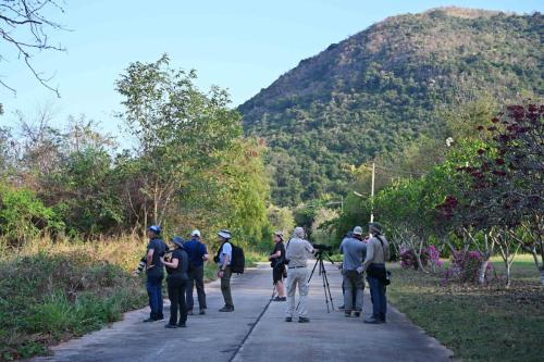 Observation à Soi 6, Amphoe Kaeng Krachan